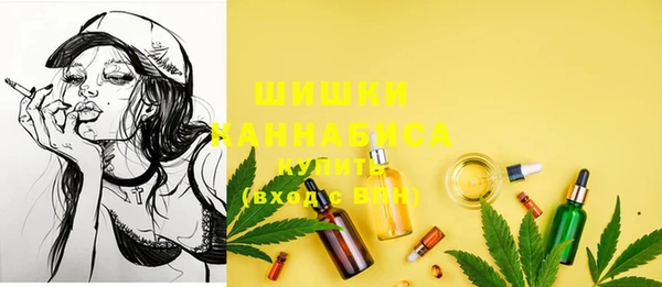 таблы Осинники
