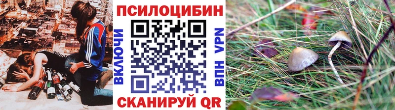 продажа наркотиков  Ряжск  Галлюциногенные грибы Magic Shrooms 